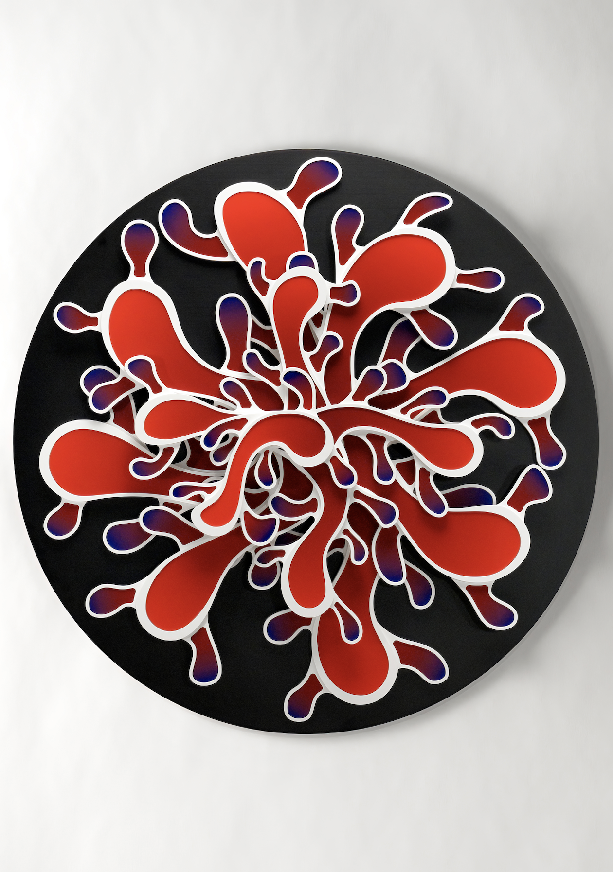 Diadema - immagine 3